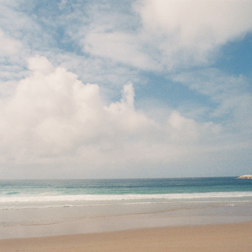 flavors x flori x twuan- tropics