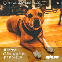 Rinse FM Podcast - Swamp 81 w/ Paleman - 12th January 2017