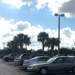 She's My Flower I'm Her Hummingbird (Prod. KingWill Music)