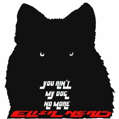 You Ain't My Dog No More (Radio Edit)