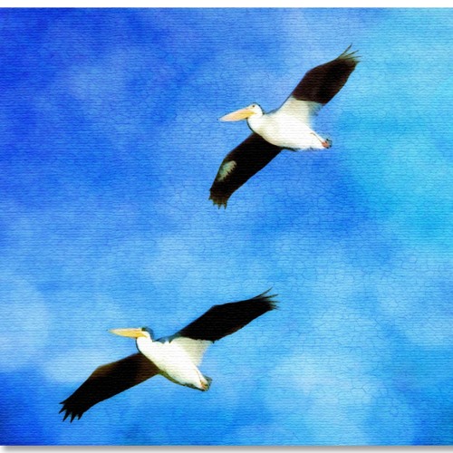 Dream In Color (Featuring Janine Levinson)