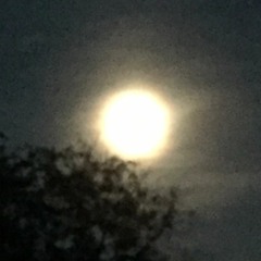 A Night To Remember (Original Mix)