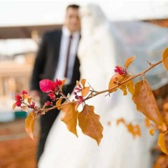 طلت عنينا ع العريس