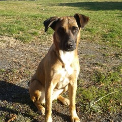 Orchestre Poly - Rythmo De Cotonou Dahomey - Gbeti Madjro - 2