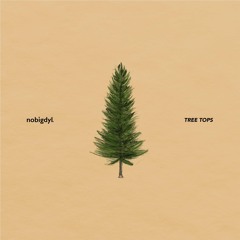 Tree Tops