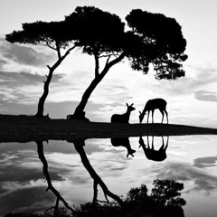 Andre Rizo Feat. Bliss - A Quiet Conversation ( Alex Banciu Edit )