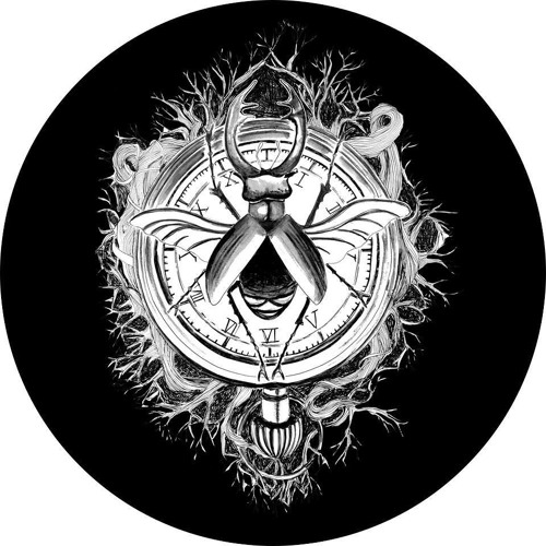 Aurora Borealis (Original Mix)