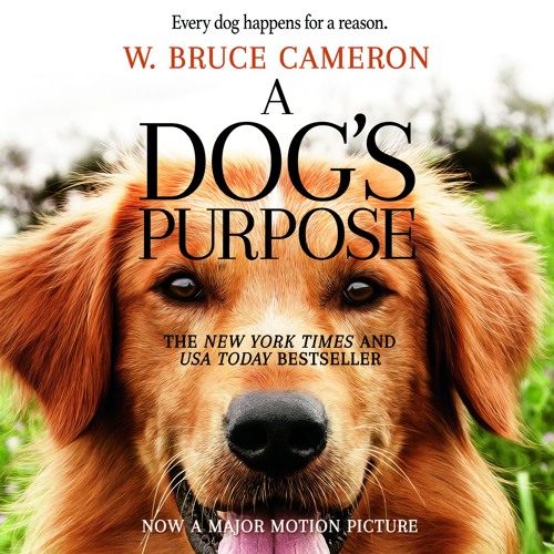 W bruce cameron store a dog's purpose