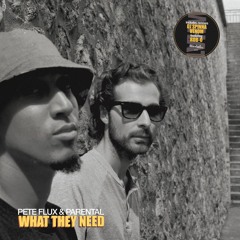 What They Need (DJ Spinna Remix)