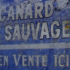 I Love To Sing - a !