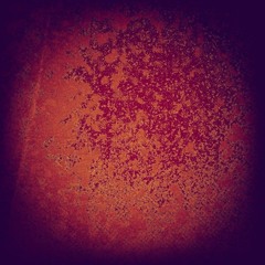 A Praying Mantis Does Not Pray