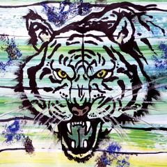 Mr Mugen - I've Got The Tiger By The Tail