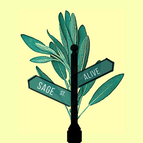 Alive - (demo)