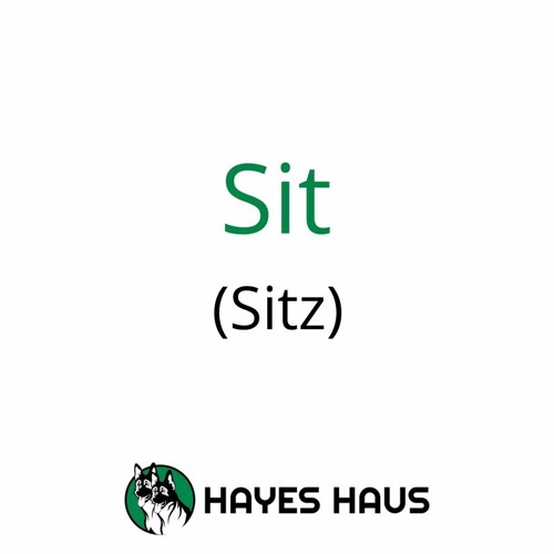 how to say sit in german