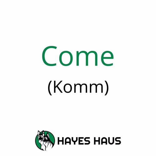 Stream Episode How To Say Come In German Komm By Hayes Haus German Shepherds Podcast Listen Online For Free On Soundcloud