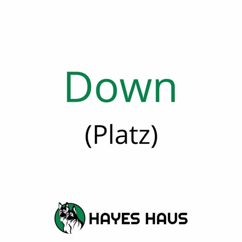 Stream episode How to Say Down in German ( Platz) by Hayes Haus German