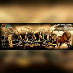 🎷🎵Huapango Las Huilotas - Grupo Galante Norteño 🎷🎶