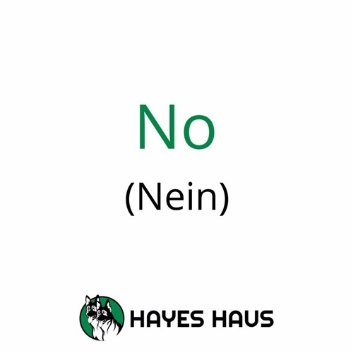 How To Say No In German Audio Stream episode How to Say No in German (Nein) by Hayes Haus German