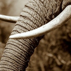 Location - Khalid (Nick Sowell Cover)Produced by Peter Maurer