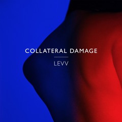 Collateral Damage
