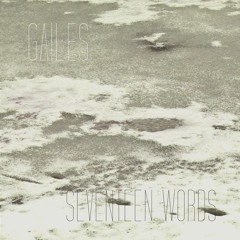 Gailes - Surface Variations In The Snowfall