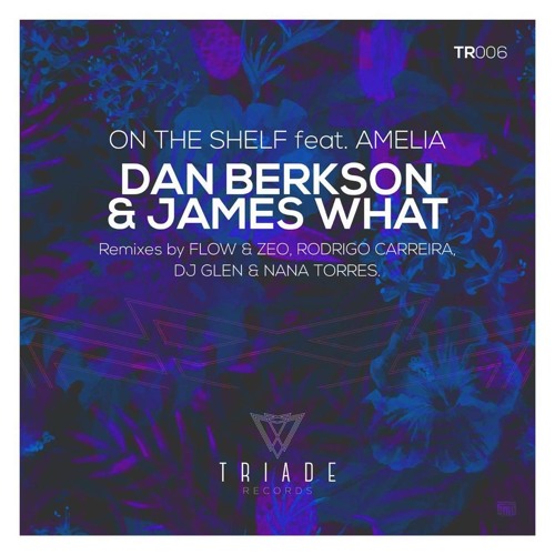 Dan Berkson, James What - On The Shelf (FLOW & ZEO Remix) Snippet