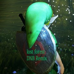 Lost Woods Remix