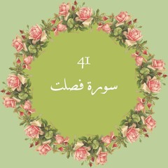 41- سورة فصلت