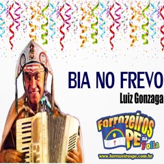 Bia No Frevo - Luiz Gonzaga.