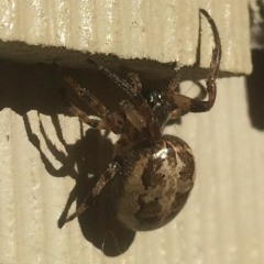 man made fear of man made things (ode to Friday the 13th)