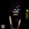 Dj Astroknot Ft Freebandz Wookie Future And Casino [fucking All These Hoes Mp3