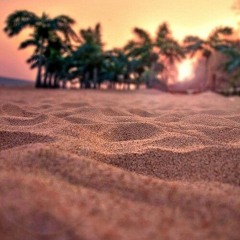 NEW TRIACE "WE ON" Pro. by..TRIACE