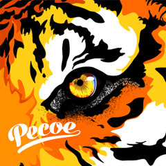 Survivor - Eye Of the Tiger (Pecoe 2017 Remix)