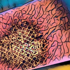 FUNGUY (Purple, Grey & Blue) Prod By. Santos Santana