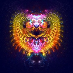 Ambient Bite 142