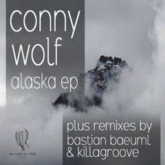 Conny Wolf - Alaska (Bastian Baeuml Remix) (Shaker Plates)