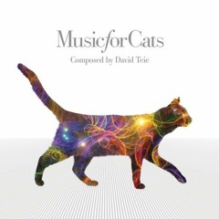Music for Cats (David Teie) Interview