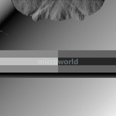 Microworld