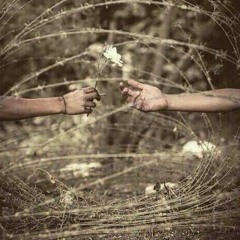 وبكينـآ يوم غني الآخرون - نور خان