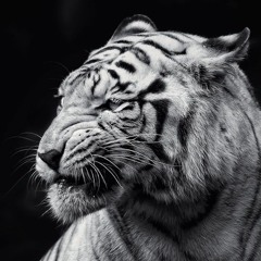 Dash Xan Thic - Black & White (Original Mix)