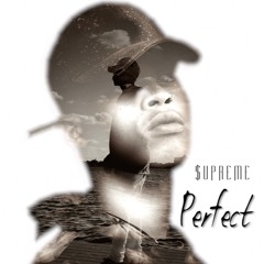 $Vpreme - Perfect