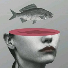 SoundCloud Weekly