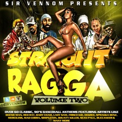 STRAIGHT RAGGA Vol 2 - Old Skool Dancehall Mixtape