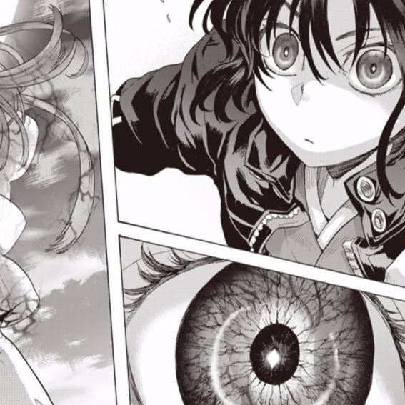 Garden of Sinners VIP