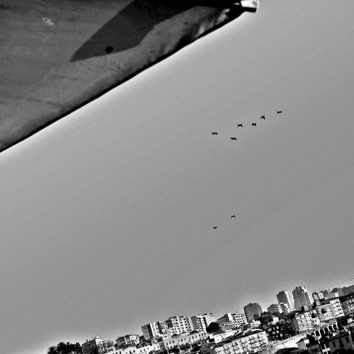 On The 4th Page The 33rd Word Is Magna