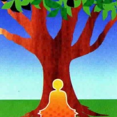 Practicing the Tree