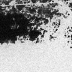 infecting the crypts [suffocation]