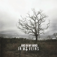 ...And In My Mind