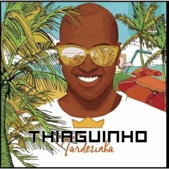CD THIAGUINHO ( TARDEZINHA) MELHORES DA ANTIGA + BONUS 2017
