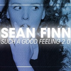 Such A Good Feeling (Rutger Van Gelder Remix)